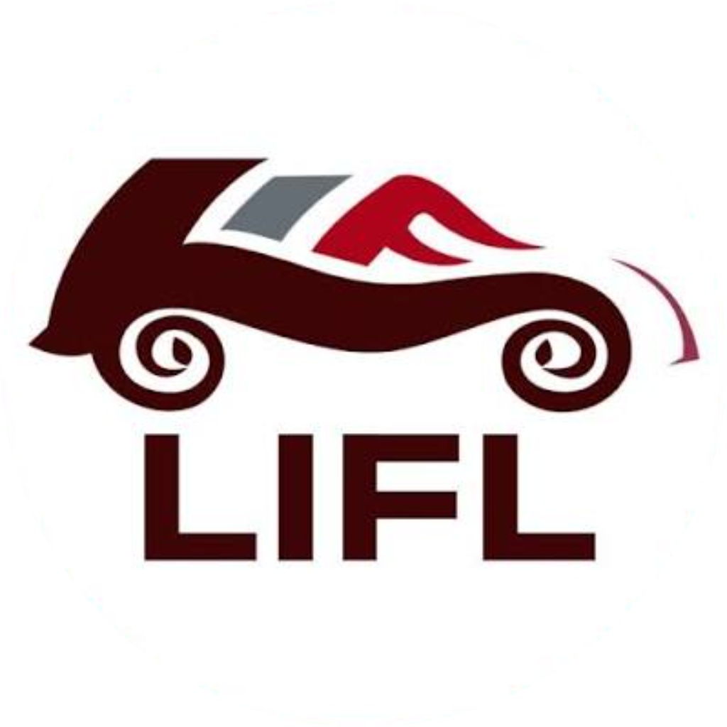 Laxmi India Finance Limited logo